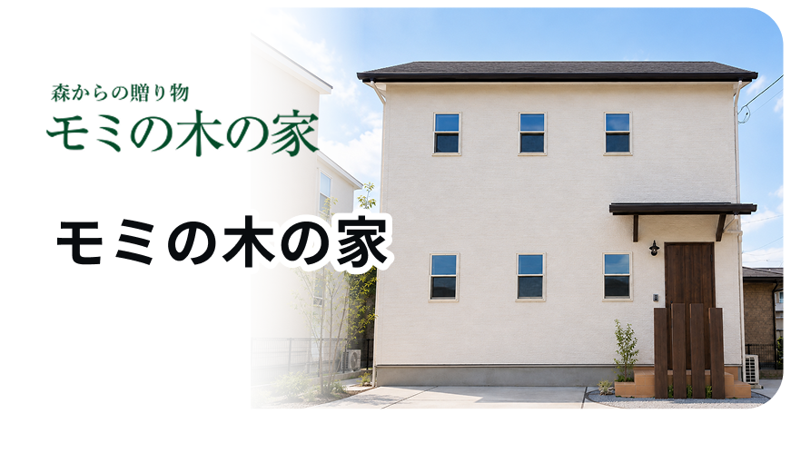 モミの木の家